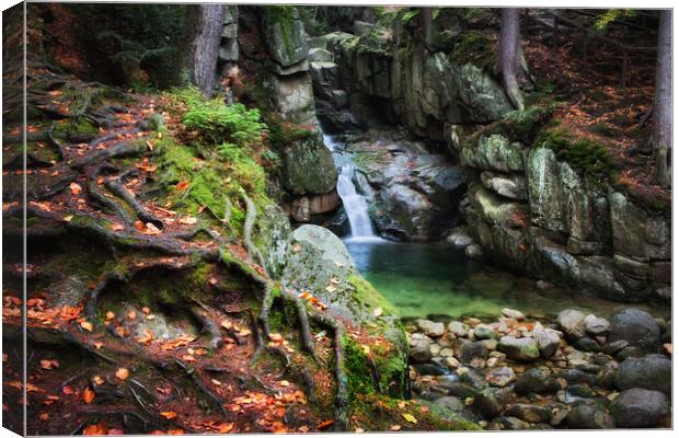 Waterfall in Mountain Forest Canvas Print by Artur Bogacki