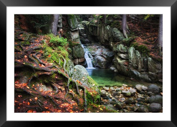 Waterfall in Mountain Forest Framed Mounted Print by Artur Bogacki