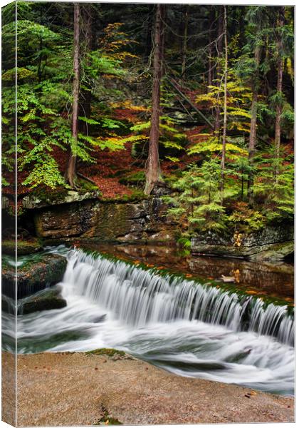 Stream With Water Cascade In Autumn Forest Canvas Print by Artur Bogacki