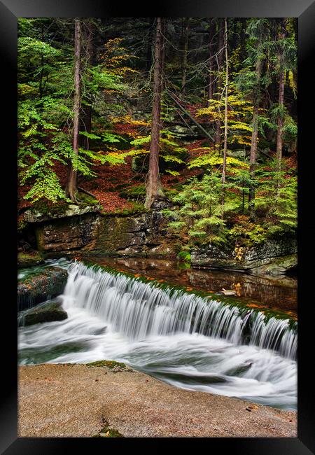 Stream With Water Cascade In Autumn Forest Framed Print by Artur Bogacki