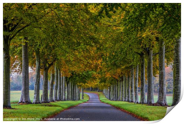 Beech Avenue Moor Crichel Print by Jim Monk