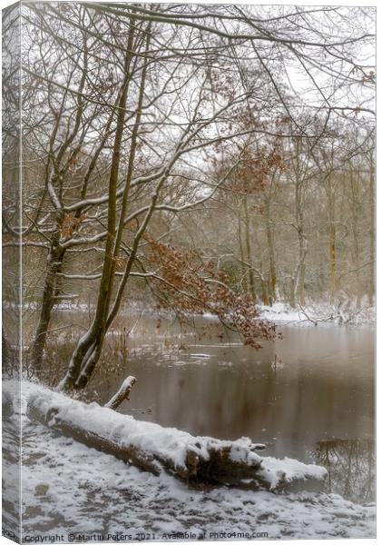 Winter Lake Canvas Print by Martin Yiannoullou