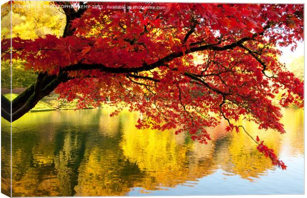 Autumn red maple reflected in mirror lake Canvas Print by CHRISTOPHER KEMP