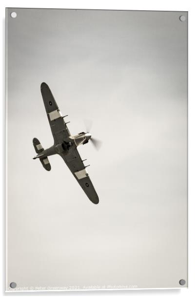 British World War II Hurricane Fighter Acrylic by Peter Greenway