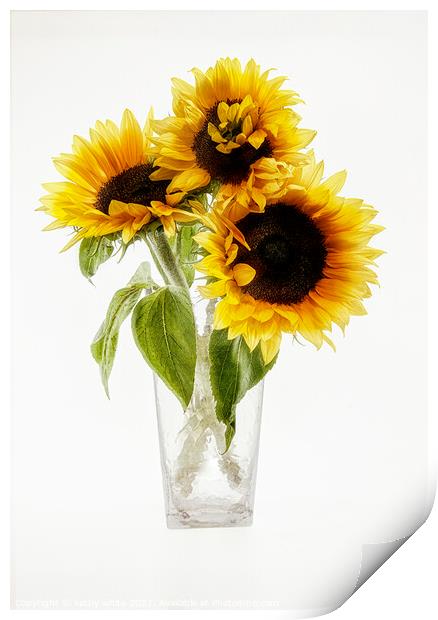 Sunflowers in a vase looking sunny Sunflower Print by kathy white