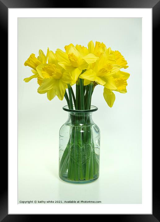daffodil,Cornish Daffodils,  spring is here,Flora, Framed Mounted Print by kathy white