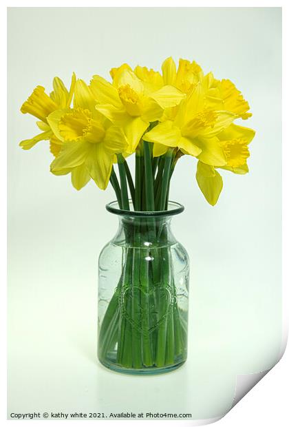 daffodil,Cornish Daffodils,  spring is here,Flora, Print by kathy white