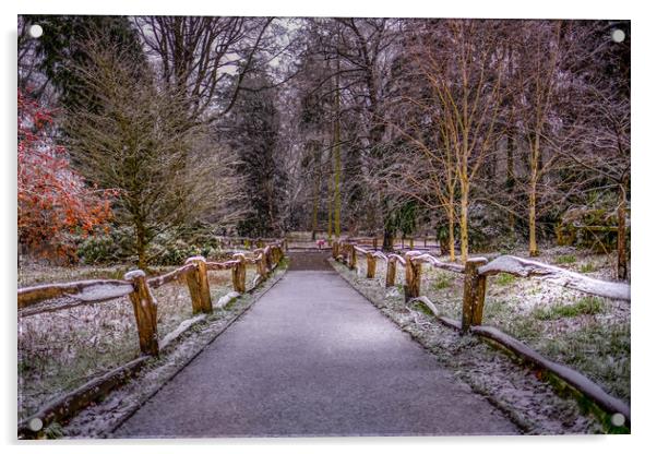 Apley Woods Acrylic by simon alun hark