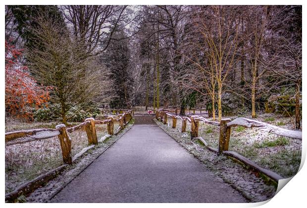 Apley Woods Print by simon alun hark