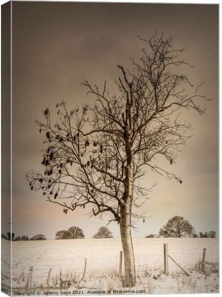 Serene Winter Tree Canvas Print by Jeremy Sage