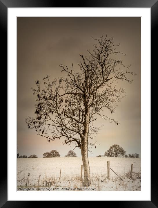 Serene Winter Tree Framed Mounted Print by Jeremy Sage