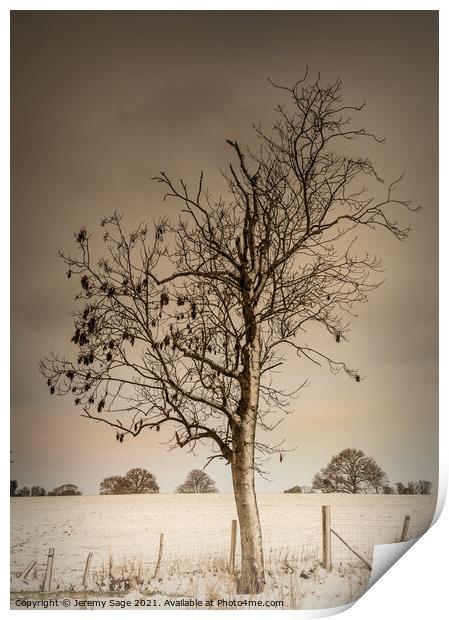 Serene Winter Tree Print by Jeremy Sage