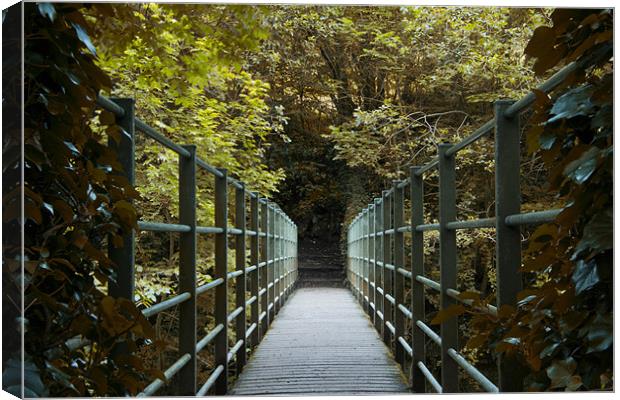 Ivy bridge 2 Canvas Print by Northeast Images