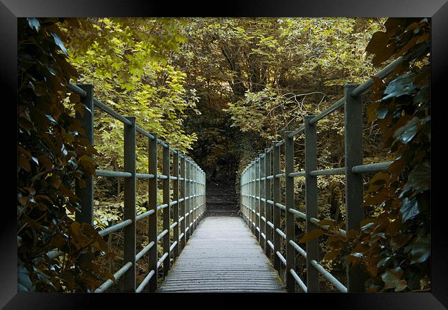 Ivy bridge 2 Framed Print by Northeast Images