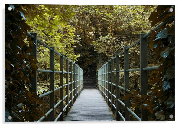 Ivy bridge 2 Acrylic by Northeast Images