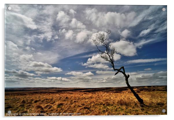 Big sky on Big Moor Acrylic by Chris Drabble