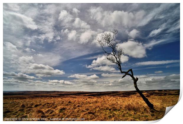 Big sky on Big Moor Print by Chris Drabble