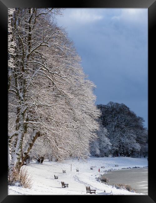 Callendar Park, Falkirk at winter. Framed Print by Tommy Dickson