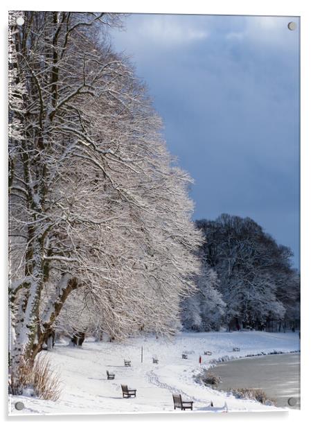 Callendar Park, Falkirk at winter. Acrylic by Tommy Dickson
