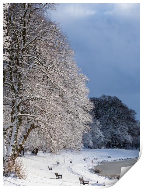 Callendar Park, Falkirk at winter. Print by Tommy Dickson