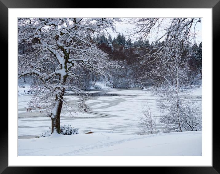 Snowy scene in Callendar Park, Falkirk.  Framed Mounted Print by Tommy Dickson