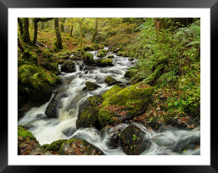 Dolgoch Falls in the Autumn. Framed Mounted Print by Colin Allen