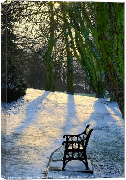Winter Sun at Locke Park Canvas Print by Alison Chambers