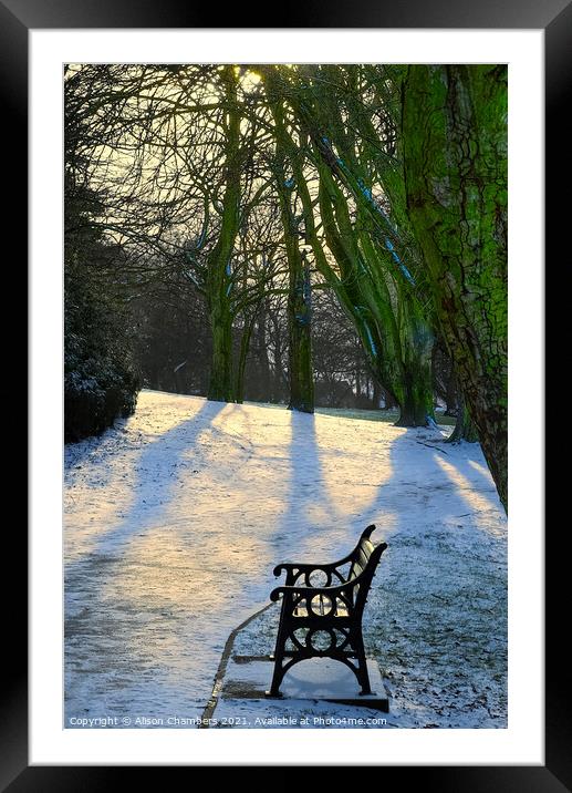 Winter Sun at Locke Park Framed Mounted Print by Alison Chambers
