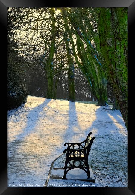 Winter Sun at Locke Park Framed Print by Alison Chambers