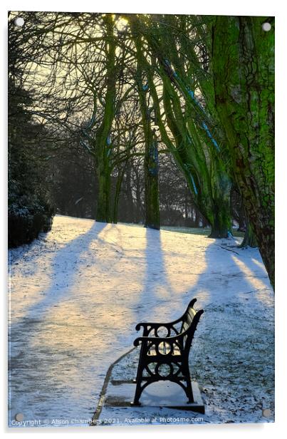 Winter Sun at Locke Park Acrylic by Alison Chambers