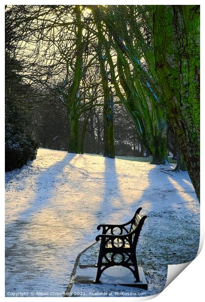 Winter Sun at Locke Park Print by Alison Chambers
