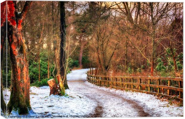 Lady Blantyre's Walk Canvas Print by Trevor Camp