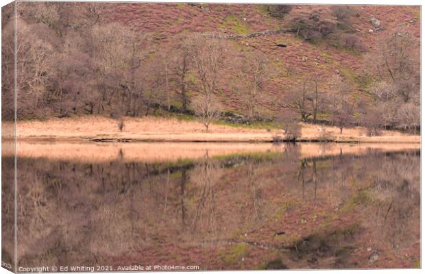 Reflections in a Snowdon Lake Canvas Print by Ed Whiting