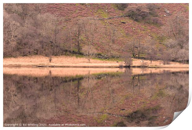 Reflections in a Snowdon Lake Print by Ed Whiting