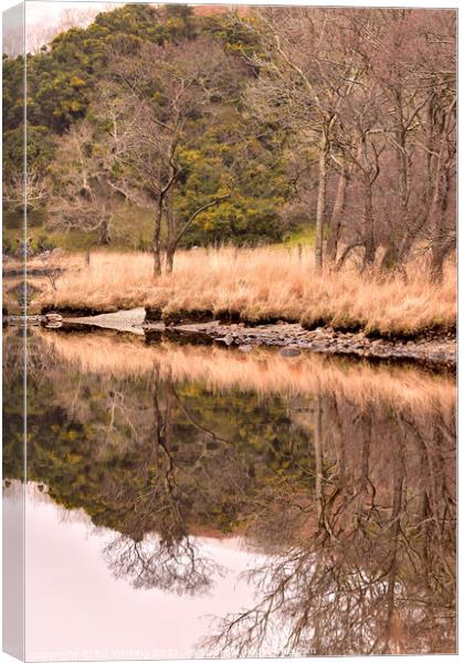 Abstract reflection Canvas Print by Ed Whiting