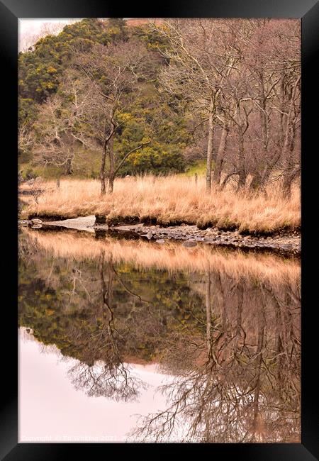 Abstract reflection Framed Print by Ed Whiting