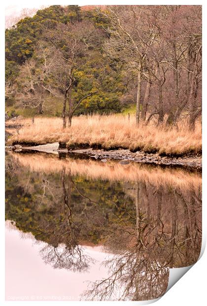 Abstract reflection Print by Ed Whiting