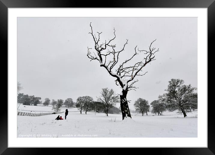 Snowy morning with the kids Framed Mounted Print by Ed Whiting