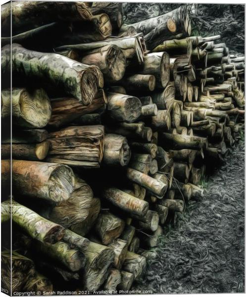 Log pile Canvas Print by Sarah Paddison