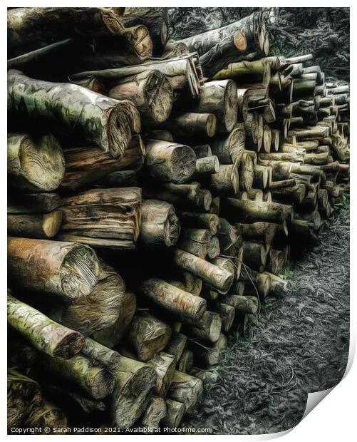 Log pile Print by Sarah Paddison
