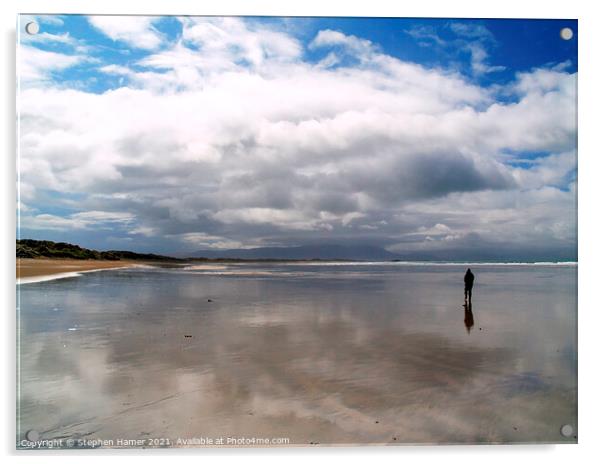 Beach Walk Acrylic by Stephen Hamer