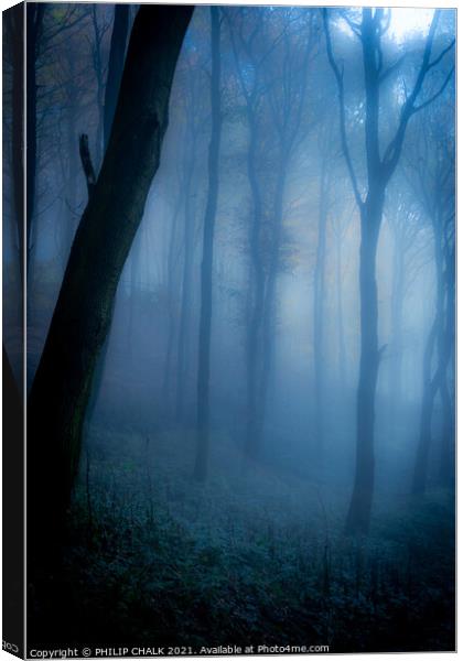 Dark forbidden  forest   234  Canvas Print by PHILIP CHALK