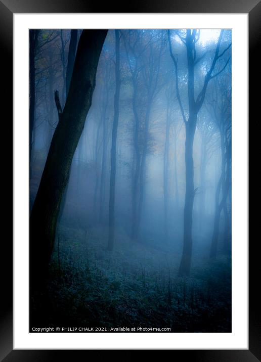 Dark forbidden  forest   234  Framed Mounted Print by PHILIP CHALK