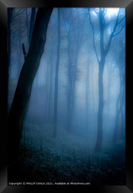 Dark forbidden  forest   234  Framed Print by PHILIP CHALK