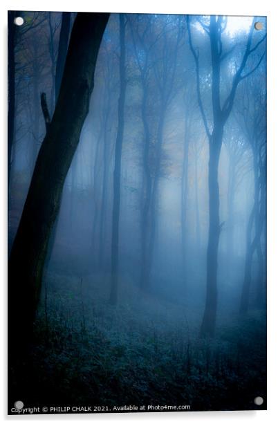 Dark forbidden  forest   234  Acrylic by PHILIP CHALK