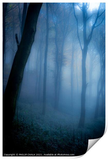 Dark forbidden  forest   234  Print by PHILIP CHALK