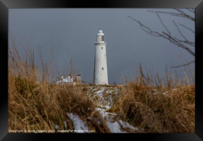 St Marys lighthouse snow  Framed Print by david siggens