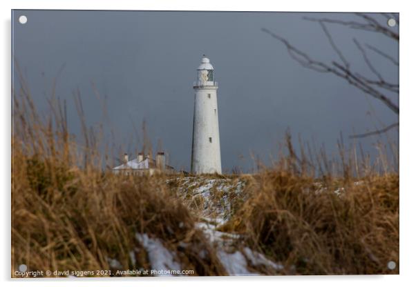 St Marys lighthouse snow  Acrylic by david siggens