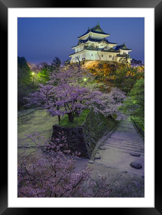 Evening view of Wakayama castle in cherry-blossom sakura season in Japan Framed Mounted Print by Mirko Kuzmanovic