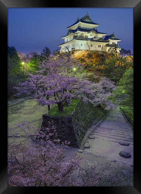 Evening view of Wakayama castle in cherry-blossom sakura season in Japan Framed Print by Mirko Kuzmanovic